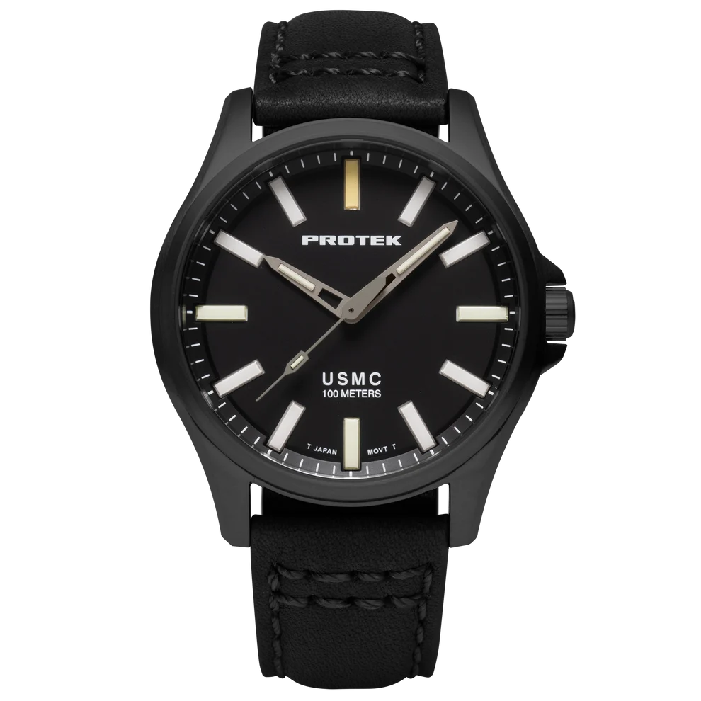 Protek Model PT3102