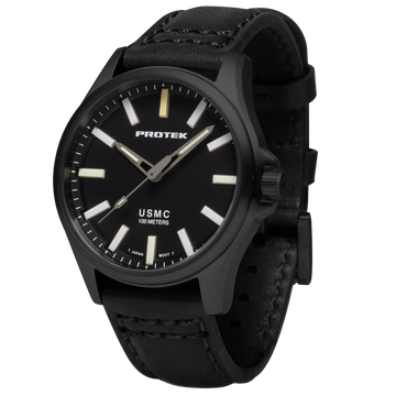 Protek Model PT3102